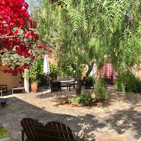 Sorbo-Ocagnano Chambres D'Hotes Le Clos Des Oliviers מראה חיצוני תמונה