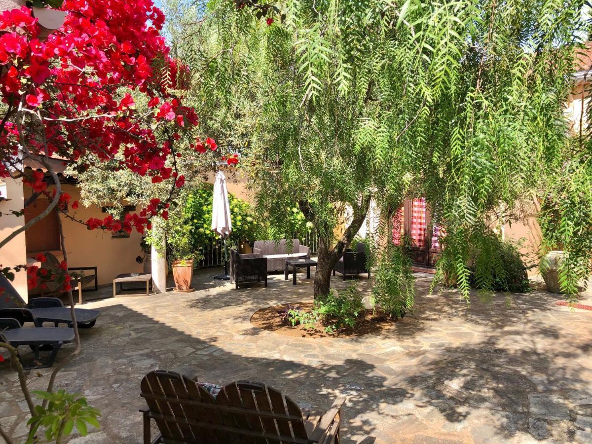Sorbo-Ocagnano Chambres D'Hotes Le Clos Des Oliviers מראה חיצוני תמונה