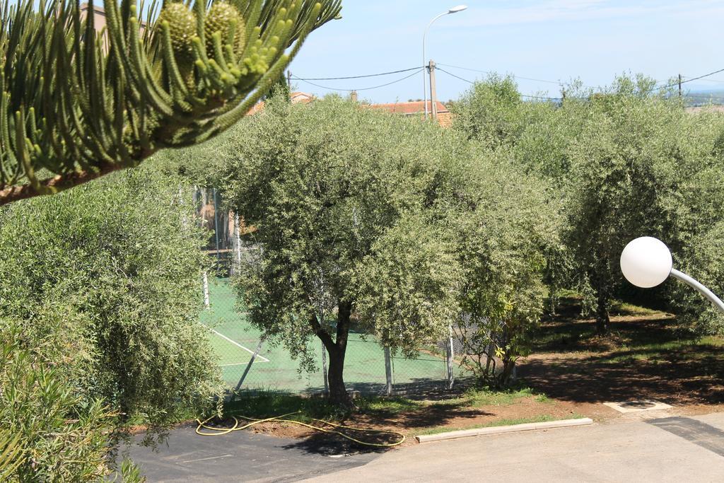 Sorbo-Ocagnano Chambres D'Hotes Le Clos Des Oliviers מראה חיצוני תמונה