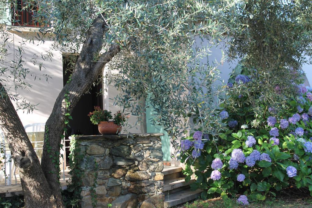 Sorbo-Ocagnano Chambres D'Hotes Le Clos Des Oliviers חדר תמונה
