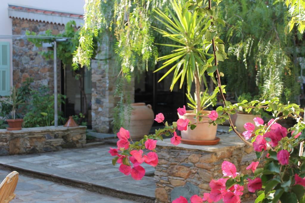 Sorbo-Ocagnano Chambres D'Hotes Le Clos Des Oliviers מראה חיצוני תמונה