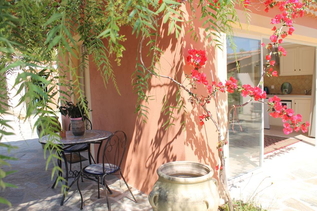 Sorbo-Ocagnano Chambres D'Hotes Le Clos Des Oliviers חדר תמונה