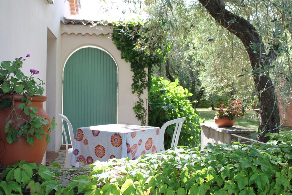 Sorbo-Ocagnano Chambres D'Hotes Le Clos Des Oliviers מראה חיצוני תמונה